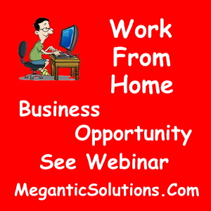 Work From Home Business Opportunity 300x300 meganticsolutions.com